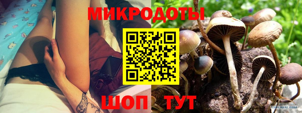 купить наркотики сайты  Вход с VPN  Псилоцибиновые грибы Cubensis  Скопин  Галлюциногенные грибы мухоморы 